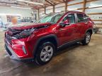 TOYOTA RAV4 2023