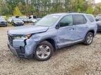 HONDA PILOT 2026