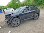 TOYOTA RAV4 2024