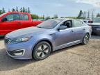 KIA OPTIMA 2011