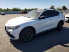 ALFA ROMEO STELVIO 2019