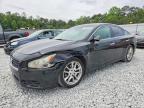 NISSAN MAXIMA 2010