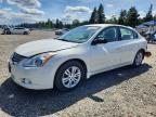 NISSAN ALTIMA 2010