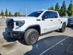 GMC SIERRA 2024