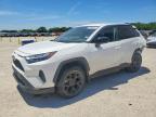 TOYOTA RAV4 2023
