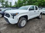 TOYOTA TACOMA 2024