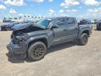 TOYOTA TACOMA 2025