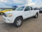 TOYOTA TACOMA 2005