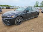 TOYOTA CAMRY 2023