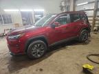 TOYOTA RAV4 2024