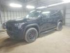 TOYOTA SEQUOIA 2023