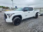TOYOTA TUNDRA 2024