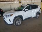 TOYOTA RAV4 2024