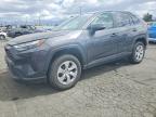 TOYOTA RAV4 2025