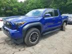 TOYOTA TACOMA 2025