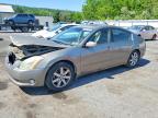 NISSAN MAXIMA 2006