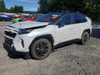 TOYOTA RAV4 2024