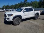 TOYOTA TACOMA 2023
