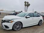 HONDA CIVIC 2024