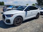 AUDI SQ5 2024