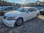 LEXUS LS 2007