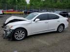 LEXUS LS 2007