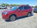 SUBARU FORESTER 2023