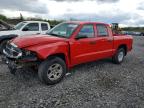 DODGE DAKOTA 2007