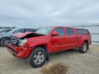TOYOTA TACOMA 2010