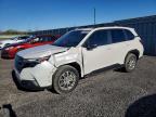 SUBARU FORESTER 2025