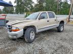 DODGE DAKOTA 2002