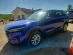HONDA CR-V 2024