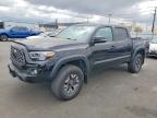 TOYOTA TACOMA 2023