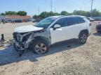 TOYOTA RAV4 2024