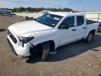 TOYOTA TACOMA 2025