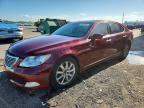 LEXUS LS 2007