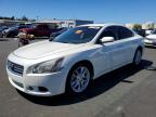 NISSAN MAXIMA 2013