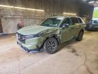 HONDA CR-V 2026