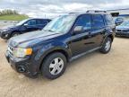 FORD ESCAPE 2010