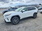 TOYOTA RAV4 2023