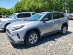 TOYOTA RAV4 2023