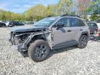 TOYOTA RAV4 2026