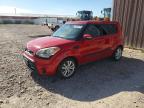 KIA SOUL 2013