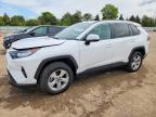 TOYOTA RAV4 2021