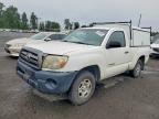 TOYOTA TACOMA 2010