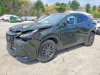 LEXUS NX 2024