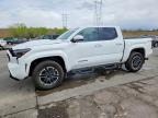 TOYOTA TACOMA 2024