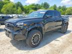 TOYOTA TACOMA 2025