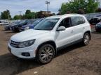 VOLKSWAGEN TIGUAN 2016
