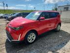 KIA SOUL 2025